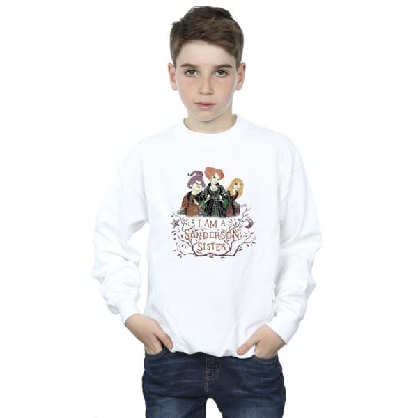 Disney Pojkar Hocus Pocus Sanderson Sister Sweatshirt