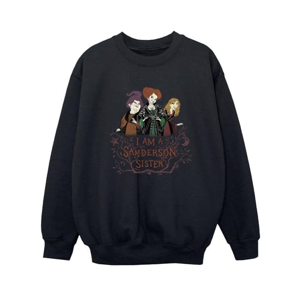 Disney Pojkar Hocus Pocus Sanderson Sister Sweatshirt