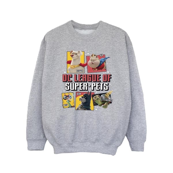 DC Comics Girls DC League Of Super-Pets Profile Sweatshirt