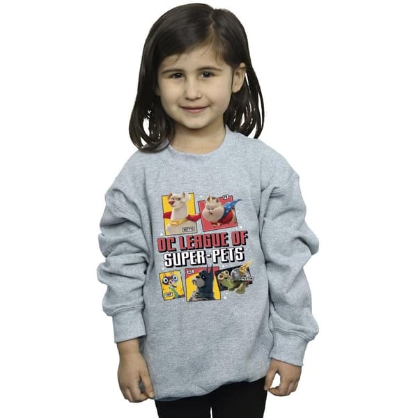 DC Comics Girls DC League Of Super-Pets Profile Sweatshirt