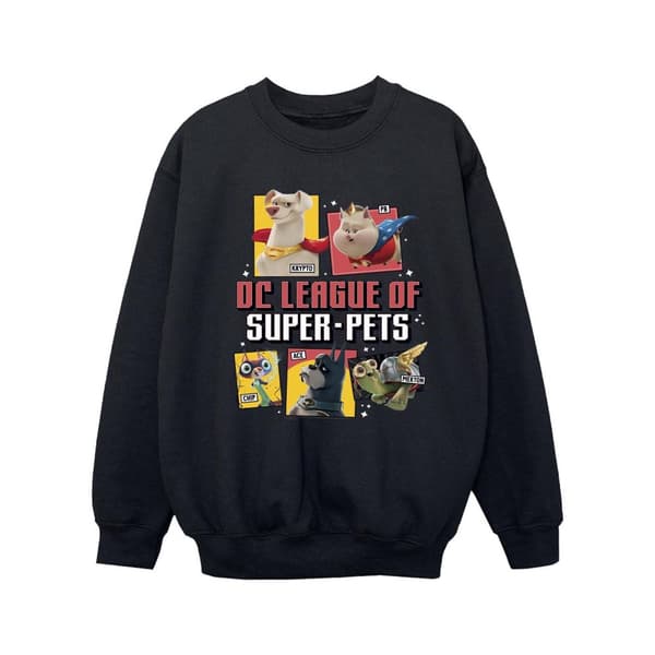 DC Comics Girls DC League Of Super-Pets Profile Sweatshirt