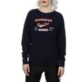 Pikkukuva 3 / 5: DC Comics Womens/Ladies Superman Man Of Steel Sweatshirt