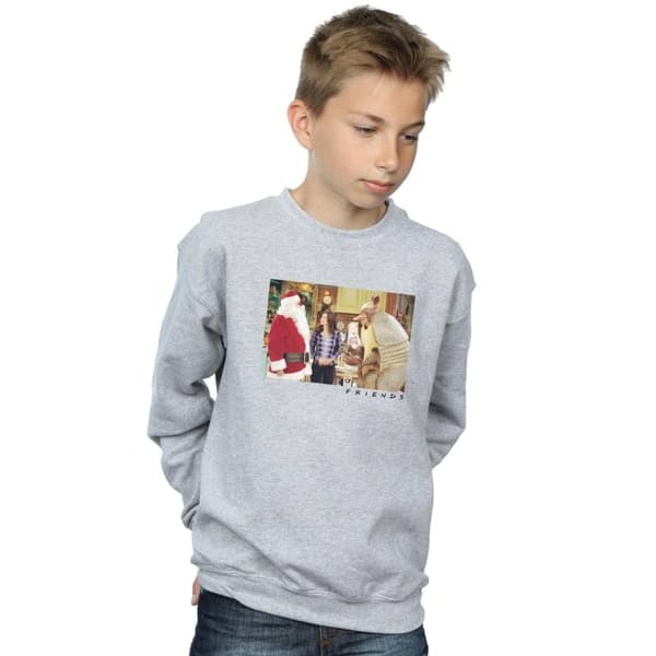 Friends Boys The Holiday Armadillo Sweatshirt