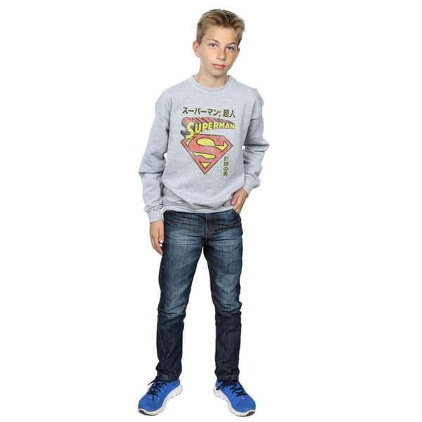 DC Comics Boys Superman Shield Sweatshirt