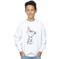 Miniatyrbild 2 av 3: Disney Pojkar Frozen 2 Olaf och Salamander Sweatshirt