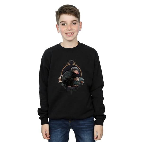 Fantastic Beasts Boys Baby Nifflers Sweatshirt