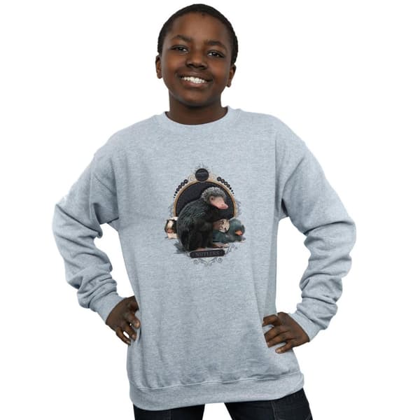 Fantastic Beasts Boys Baby Nifflers Sweatshirt