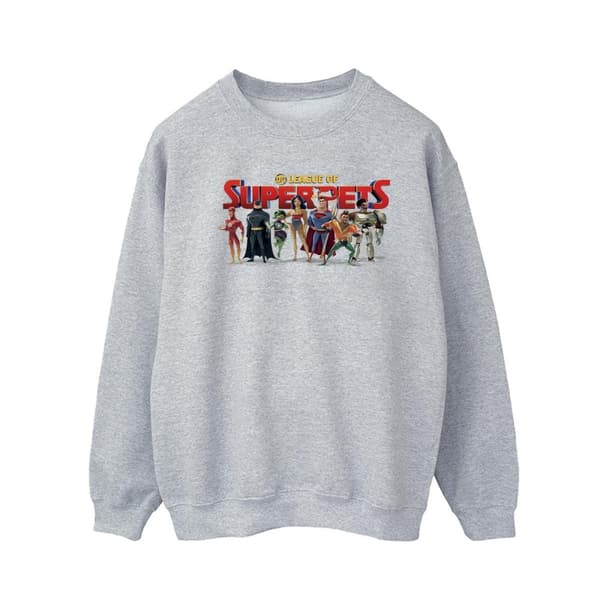 DC Comics Mens DC Comics DC League Of Super-Pets Group Logo Sweatshirt Sports Grey M