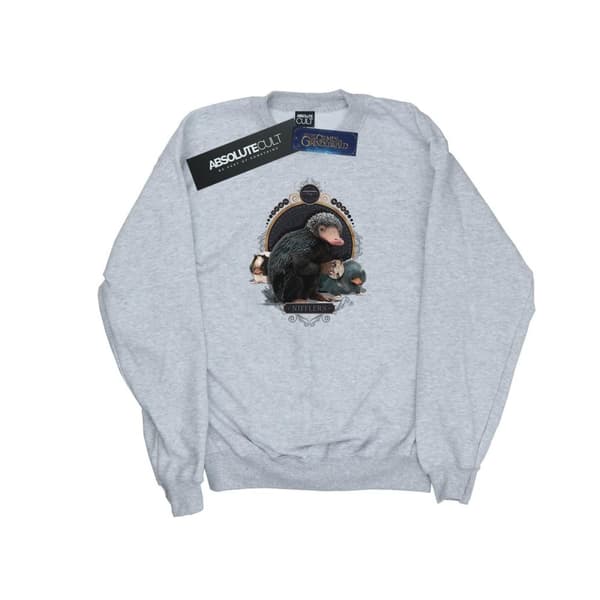 Fantastic Beasts Mens Baby Nifflers Sweatshirt