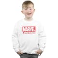 Miniatyrbild 2 av 3: Marvel Pojkar Logo Wash Care Sweatshirt