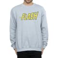 Miniatyrbilde 3 av 5: DC Comics Mens Flash Crackle Logo Sweatshirt