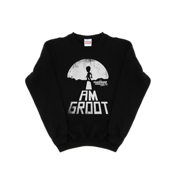 Marvel Boys Guardians Of The Galaxy I Am Groot White Sweatshirt