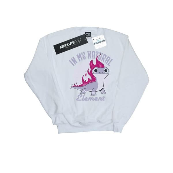 Disney Mens Frozen 2 Salamander Bruni Element Sweatshirt