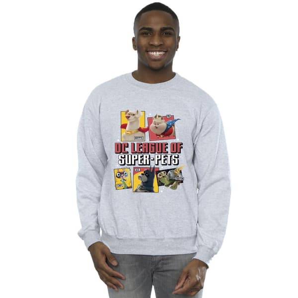 DC Comics Mens DC League Of Super-Pets Profile Sweatshirt