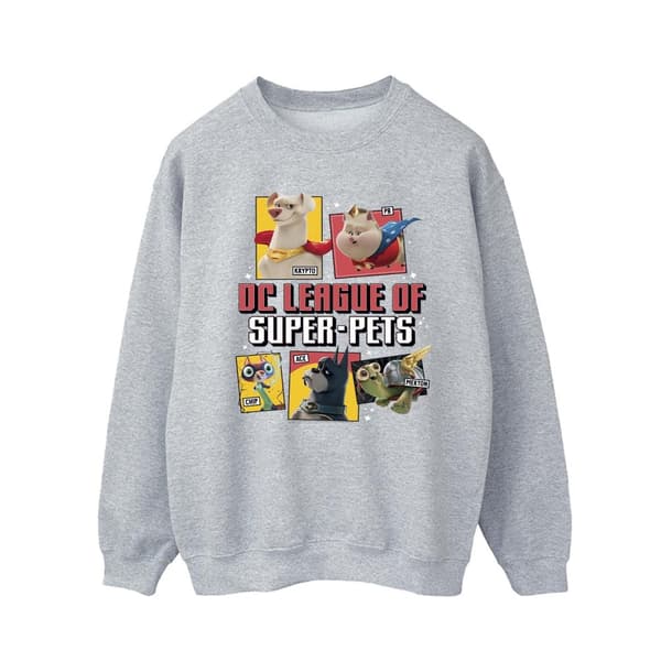 DC Comics Mens DC League Of Super-Pets Profile Sweatshirt