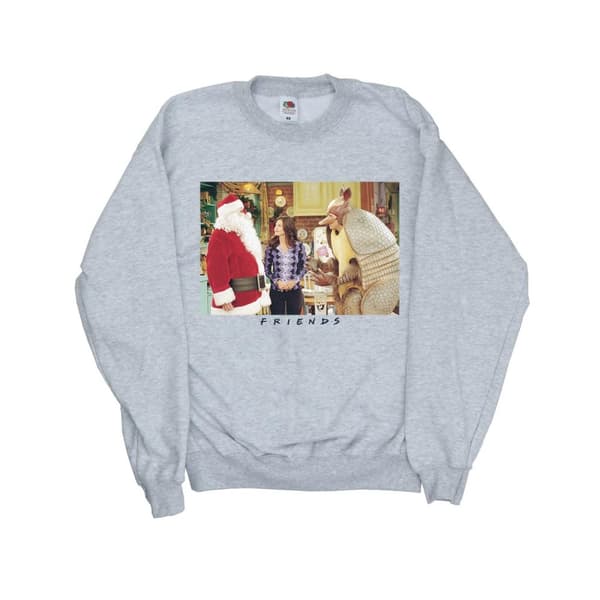 Friends Mens Christmas Armadillo Sweatshirt Sports Grey M