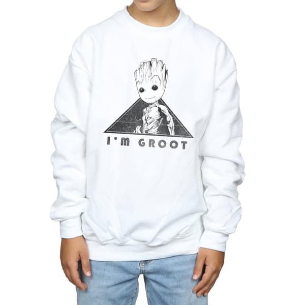 Marvel Boys Guardians Of The Galaxy Vol. 2 Groot Mono Triangle Sweatshirt