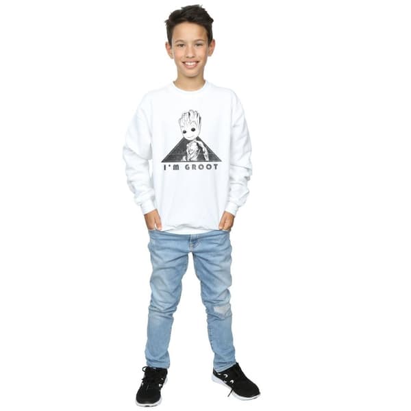 Marvel Boys Guardians Of The Galaxy Vol. 2 Groot Mono Triangle Sweatshirt
