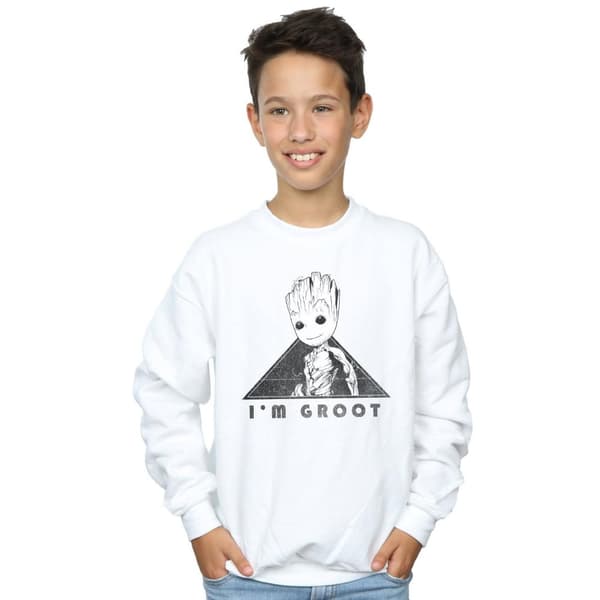 Marvel Boys Guardians Of The Galaxy Vol. 2 Groot Mono Triangle Sweatshirt