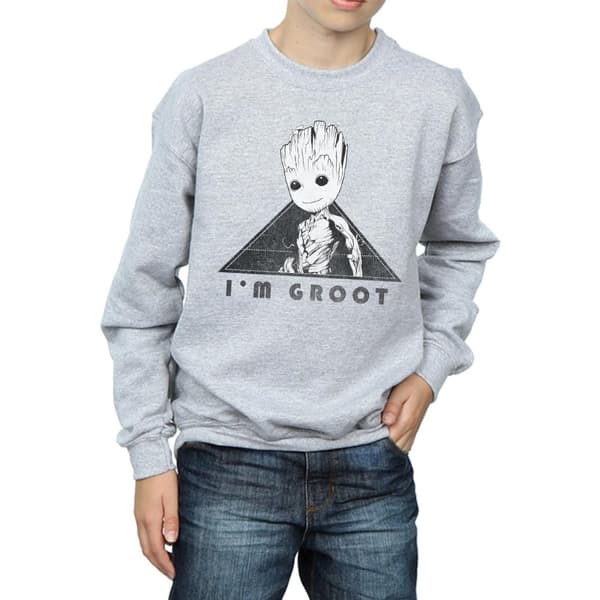Marvel Boys Guardians Of The Galaxy Vol. 2 Groot Mono Triangle Sweatshirt