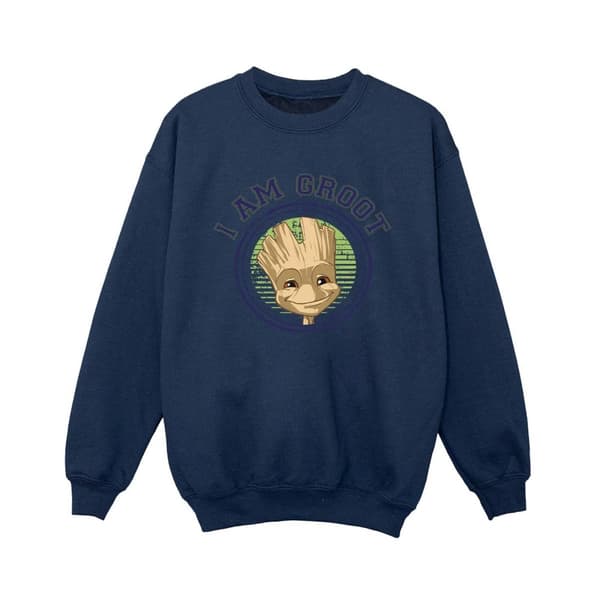 Guardians Of The Galaxy Pojkar Groot Varsity-tröja