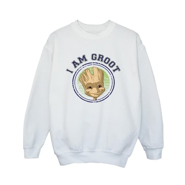 Guardians Of The Galaxy Pojkar Groot Varsity-tröja