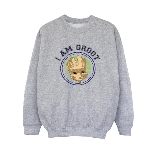 Guardians Of The Galaxy Pojkar Groot Varsity-tröja Sports Grey 3-4 Years