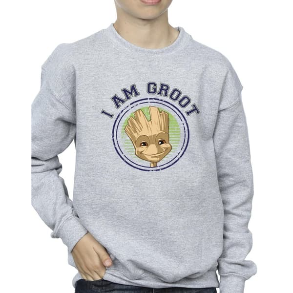 Guardians Of The Galaxy Pojkar Groot Varsity-tröja