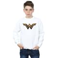Pikkukuva 2 / 5: DC Comics Boys Justice League Movie Wonder Woman Emblem Sweatshirt