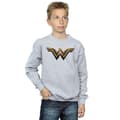 Pikkukuva 2 / 5: DC Comics Boys Justice League Movie Wonder Woman Emblem Sweatshirt