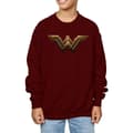 Pikkukuva 3 / 5: DC Comics Boys Justice League Movie Wonder Woman Emblem Sweatshirt