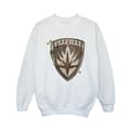 Miniatyrbillede 1 af 3: Marvel Boys I Am Groot Guardian Emblem Sweatshirt