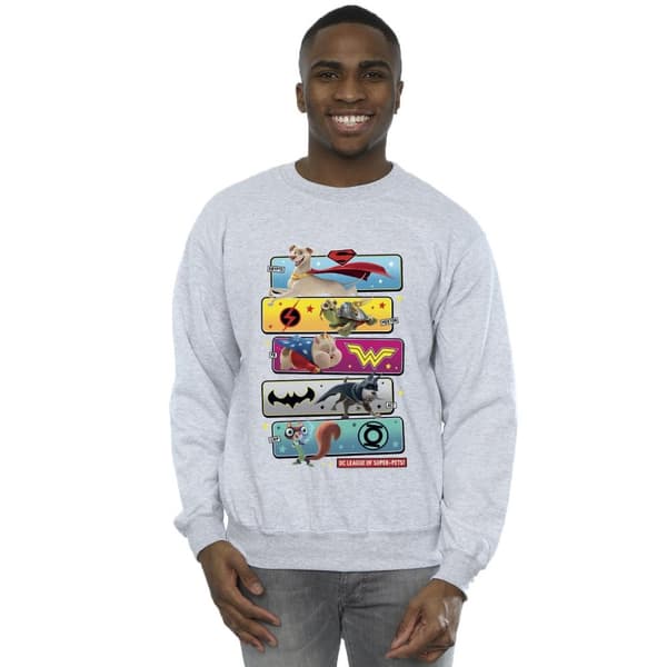 DC Comics Mens DC League Of Super-Pets - Sweatshirt med karaktärspose