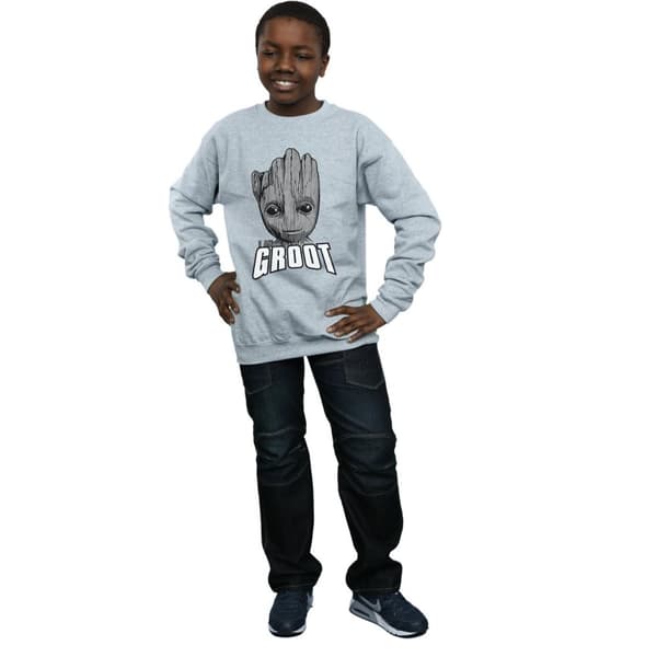 Marvel Pojkar Guardians Of The Galaxy Groot Face Sweatshirt