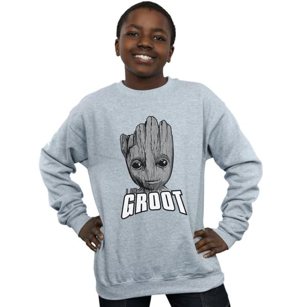 Marvel Pojkar Guardians Of The Galaxy Groot Face Sweatshirt