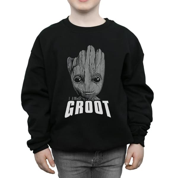 Marvel Pojkar Guardians Of The Galaxy Groot Face Sweatshirt