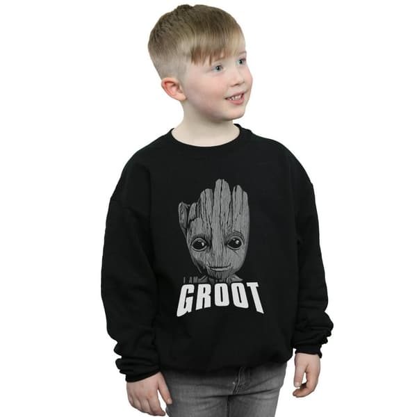 Marvel Pojkar Guardians Of The Galaxy Groot Face Sweatshirt