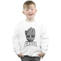 Miniatyrbild 2 av 5: Marvel Pojkar Guardians Of The Galaxy Groot Face Sweatshirt