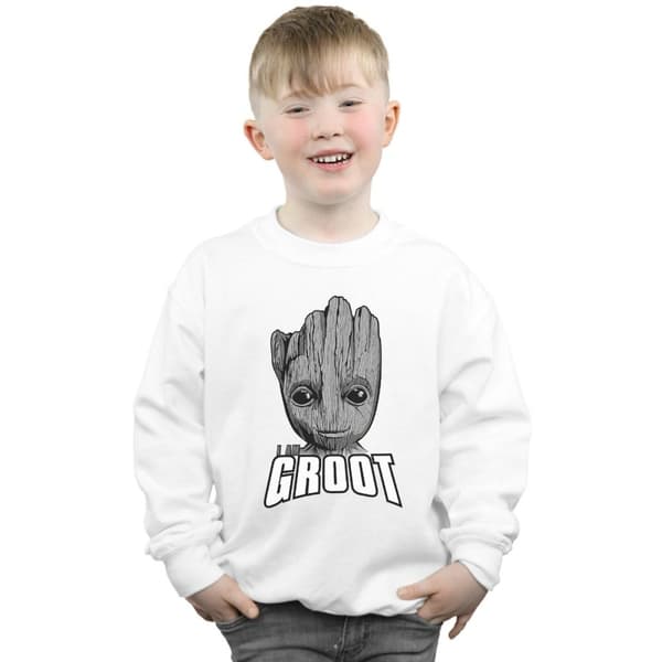 Marvel Pojkar Guardians Of The Galaxy Groot Face Sweatshirt