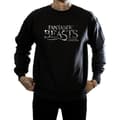 Miniatyrbillede 3 af 5: Fantastic Beasts Mens Text Logo Sweatshirt