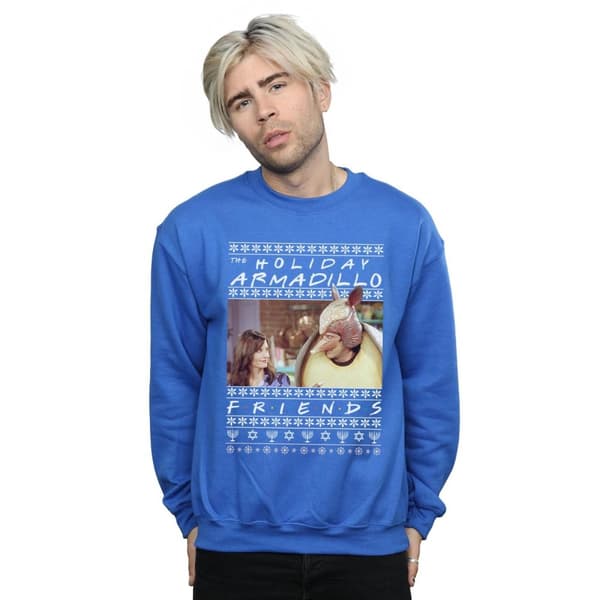 Friends Mens Fair Isle Holiday Armadillo Sweatshirt