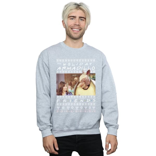 Friends Mens Fair Isle Holiday Armadillo Sweatshirt