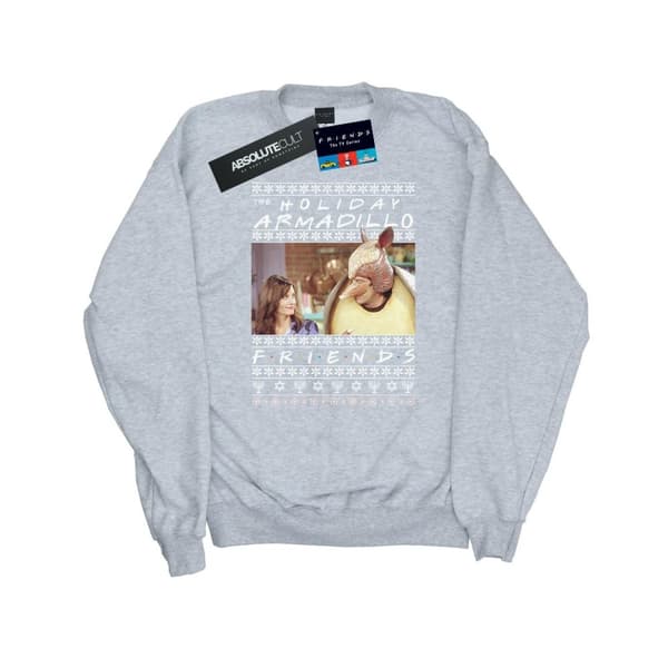 Friends Mens Fair Isle Holiday Armadillo Sweatshirt