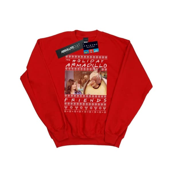 Friends Mens Fair Isle Holiday Armadillo Sweatshirt