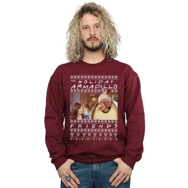 Friends Mens Fair Isle Holiday Armadillo Sweatshirt