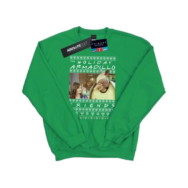 Friends Mens Fair Isle Holiday Armadillo Sweatshirt
