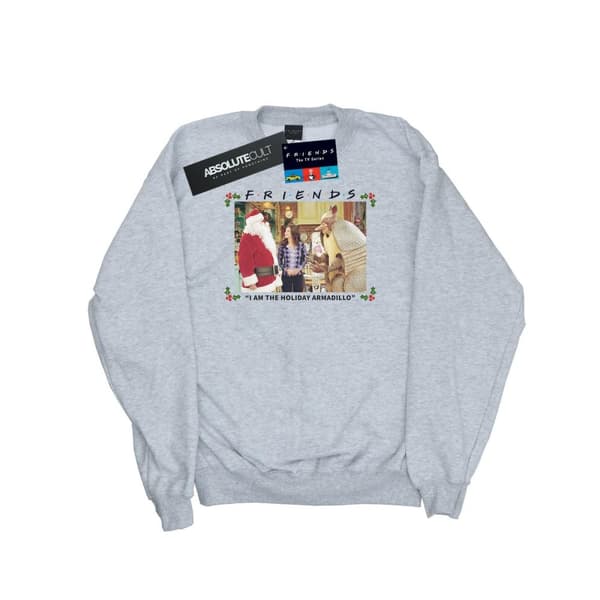 Friends Mens I Am The Holiday Armadillo Sweatshirt Sports Grey L