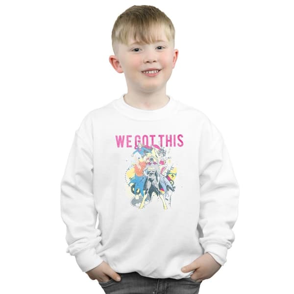 DC Comics Pojkar Justice League We Got This Sweatshirt