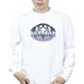 Miniatyrbillede 3 af 4: DC Comics Boys The Flash I´m Batman Sweatshirt
