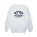 Miniatyrbillede 1 af 4: DC Comics Boys The Flash I´m Batman Sweatshirt